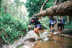 BIB: 
                            <button type="button" onclick="openModal(25375803)" class="btn btn-primary btn-sm float-right btn-popup" data-toggle="modal" data-target=".modal-high-quality">
                        <i class="fas fa-shopping-cart"></i> Add to Cart
                    </button>
                                            <button type="button" onclick="isThisMe(25375803, true)" class="btn btn-success btn-sm float-right btn-popup btn-isme hidden" data-toggle="tooltip" data-placement="bottom" title="นี่คือรูปของคุณใช่ไหม คลิกที่นี่เพื่อเอาเข้าอัลบั้ม">
                        <i class="fas fa-plus"></i> Add to album
                    </button>
                    <button type="button" onclick="isThisMe(25375803, false)" class="btn btn-warning btn-sm float-right btn-popup btn-isnotme hidden">
                        <i class="fas fa-ban"></i> Remove from album
                    </button>